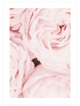 Les Roses - Art Print
